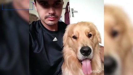 كلب أليف يقلد تعابير وجه مالكه بطريقة كوميدية.. شاهدوا الفيديو