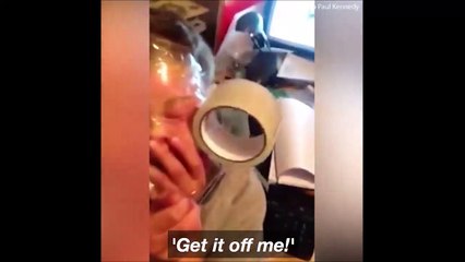 بالفيديو.. شاب يلجأ إلى حيلة كارثية من أجل تنفيذ مقلب في شقيقه