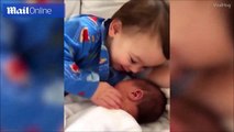 فيديو.. طفل يعانق شقيقه حديث الولادة ويعتني به بطريقة رائعة