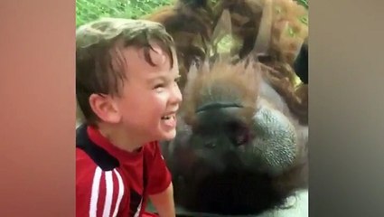 فيديو مضحك.. صبي يكون صداقة فريدة مع "إنسان غاب" في حديقة حيوان