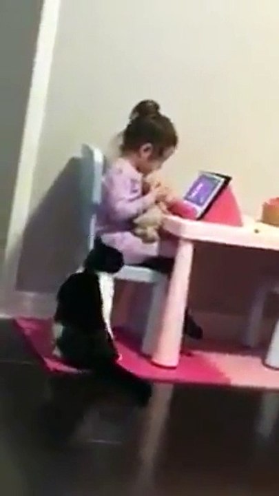 تصرف قطة مع طفلة صغيرة يبهر رواد مواقع التواصل