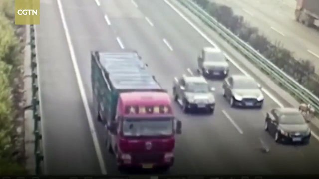 ماعز يتسبب في حادث سير مأساوي على طريق سريع