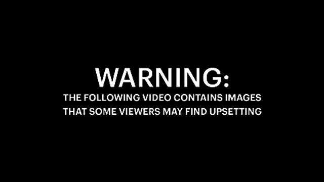 فيديو لحادثة اصطدام سيارة أوبر ذاتية القيادة بامرأة تعبر الطريق