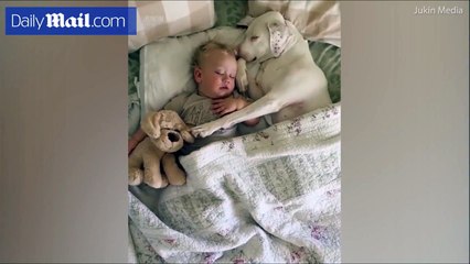 مشهد رائع.. كلب يعانق طفلاً صغيراً خلال نومه
