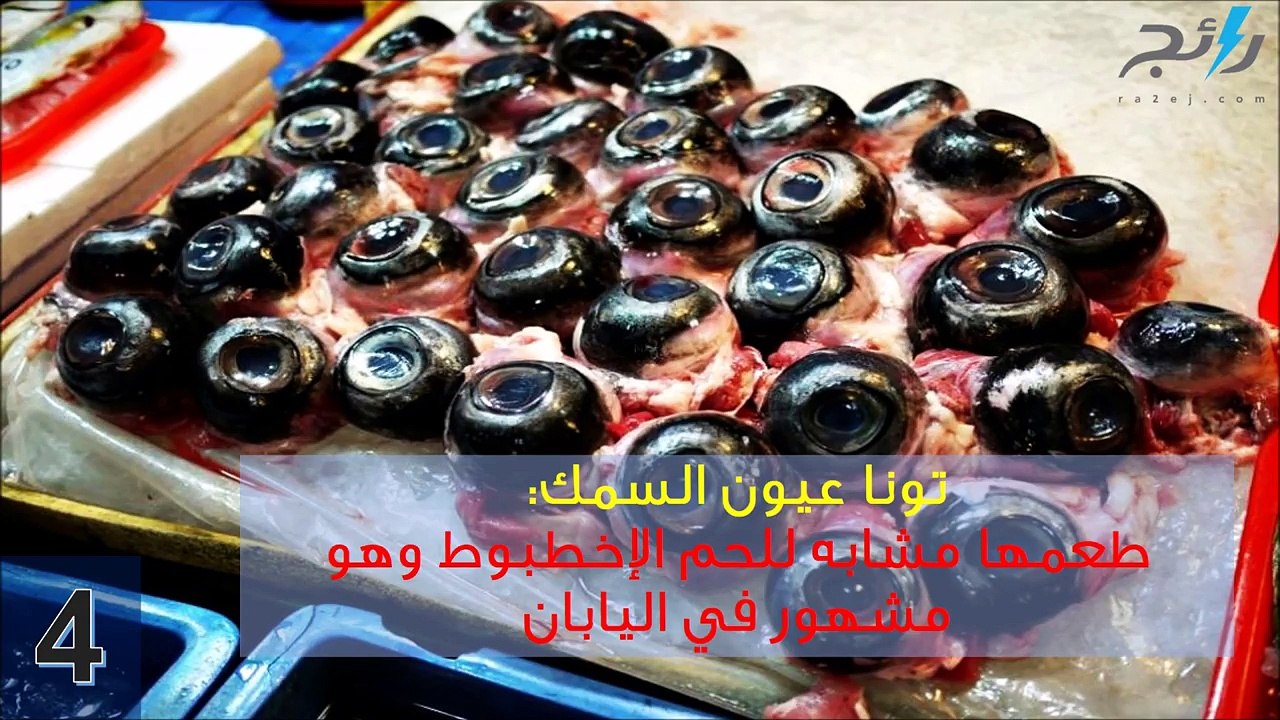 فيديو "مخ القرد والعناكب المقلية".. أغرب الأكلا...