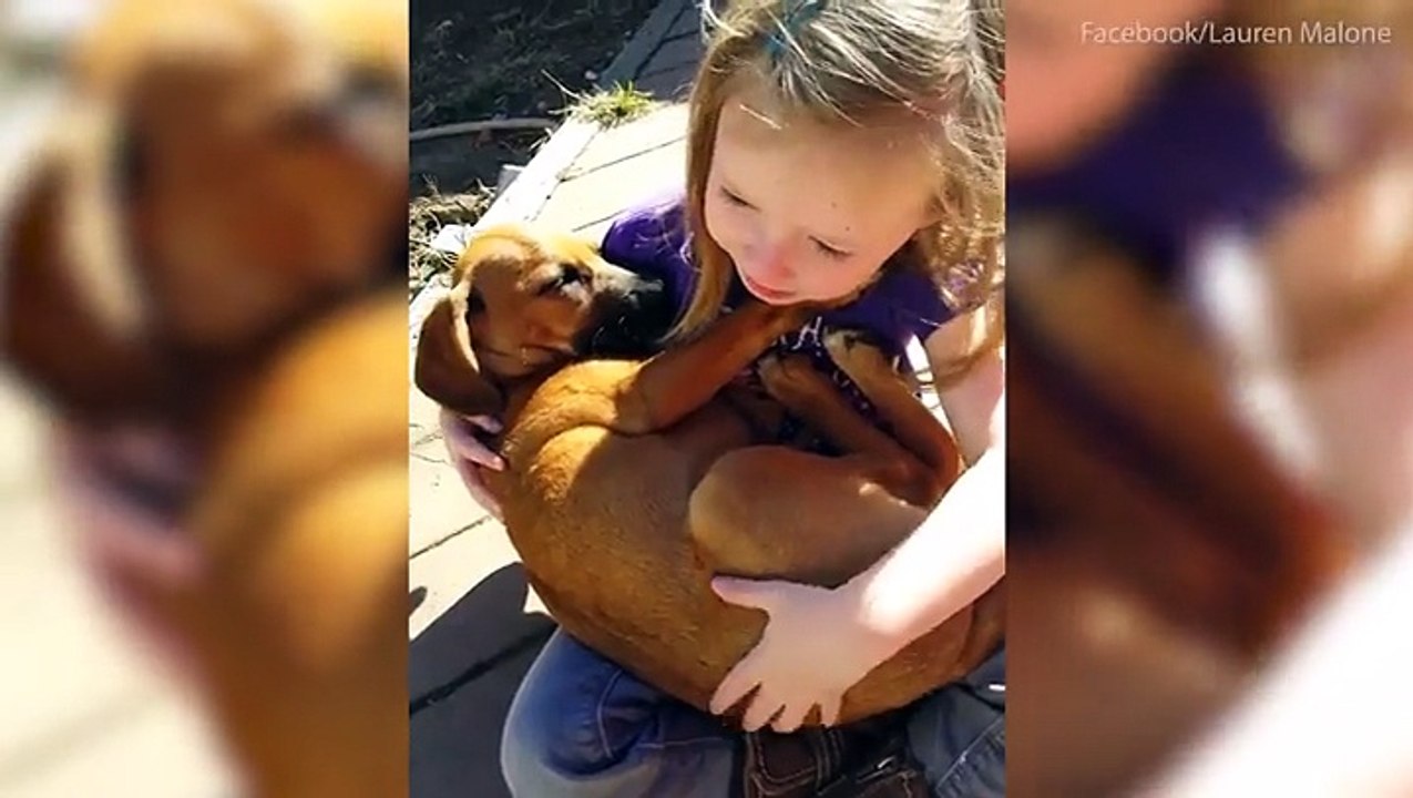 طفلة تعانق كلباً صغيراً وتغني له.. فيديو يحقق أ...
