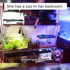 فيديو غريب لفتاة لديها في غرفتها حديقة حيوانات كاملة!