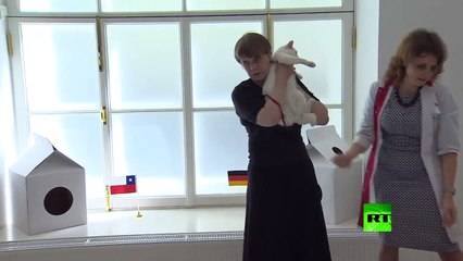 فيديو: "قط أصم" عراف كأس العالم في روسيا 2018