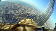صقر يحلق فوق مدينة دبي