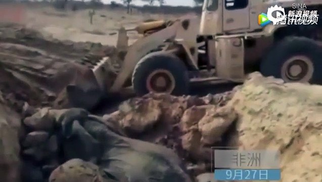 فيديو يحبس الأنفاس.. عملية إنقاذ مذهلة لمجموعة أفيال عالقين داخل حفرة