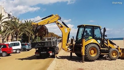 شاهد ماذا حدث لـ"سلحفاة عملاقة" جرفتها الأمواج إلى الشاطئ