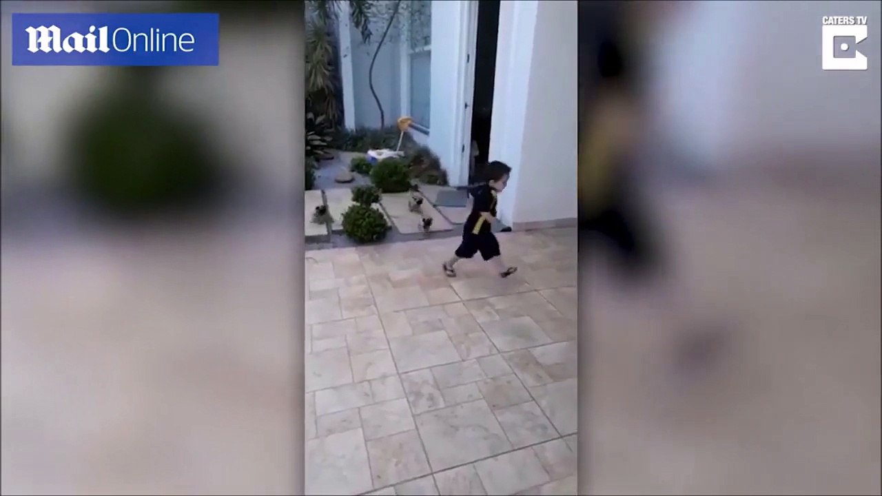 شاهد بالفيديو.. علاقة صداقة مذهلة بين طفل ومجموعة من الكلاب الأليفة