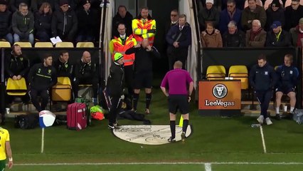 فيديو: مشجع يتحول لحكم لهذا السبب في مباراة بالدوري الإنجليزي