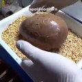فيديو طريقة صنع عجائب الشوكولاتة في أروع مكان على وجه الأرض
