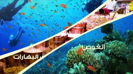 استراحة 60 ثانية: مدينة دبي بالفيديو