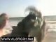 فيديو قنديل بحر ينقض على وجه رجل...شاهد طريقة الإنقاذ