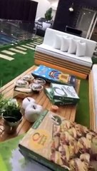 نجلاء عبدالعزيز تتزوج بعد أشهر من “أحزان الطلاق”   من هو الزوج؟