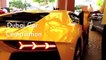 فيديو سيارات دبي الخارقة في شارع واحد فقط! سيارات الأحلام