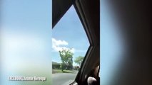 فيديو .. رجل يسرق سيارة شرطة!