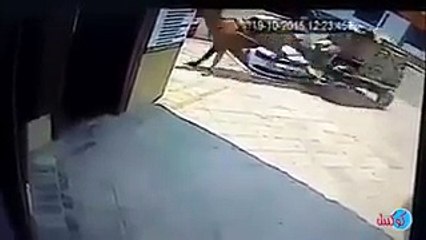 فيديو عربة يجرها حصان تحطم سيارة فولكس واجن باسات كالأفلام الهندية