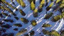 فيديو كاميرات «GoPro» تقدم طائرة بدون طيار!