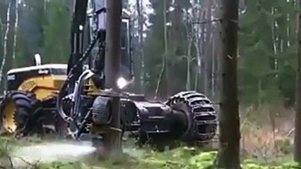 فيديو منشار خرافي يقطع الأشجار بطريقة مذهلة وسرعة هائلة