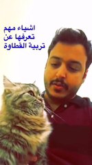 خليجي يكشف أموراً أساسية في تربية القطط