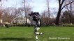 فيديو.. "أطلس" روبوت ينافس البشر على الركض