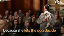فيديو قاضية تطلب من كلب أن يساعدها في الحكم لصالح أحد الطرفين في قضية
