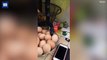 ثعبان يحاول التهام بيضة داخل مطبخ منزل.. فيديو يحقق ملايين المشاهدات