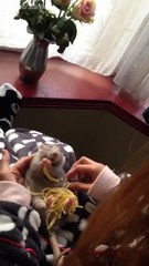 شاهد بالفيديو.. "فأر" يقوم بتناول المكرونة بشكل مضحك للغاية