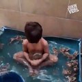 فيديو لا يصدق لطفل يسبح مع مجموعة ضفادع في حوض استحمام صغير