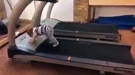 فيديو طريف جداً لطفل يجرب آلة الجري لأول مرة