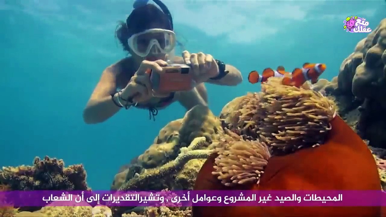 10 أماكن مشهورة يجب زيارتها قبل أن تحتفي معالمها