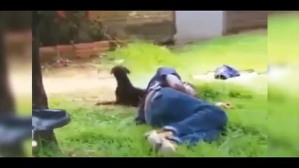 كلب يدافع عن صاحبه المصاب ضد رجال الشرطة