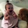 فيديو مذهل لكلب يلاعب طفلة صغيرة