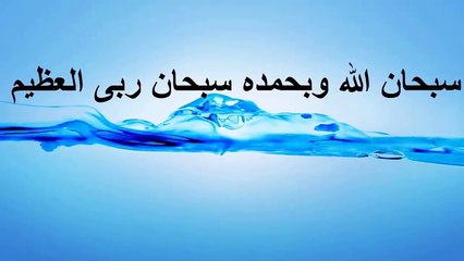 مشهد مؤثر جداً لقطة تنقذ قطة صغيرة أخرى