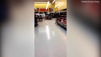 فيديو صادم.. مجموعة من "الخفافيش" تثير ذعر زبائن محل تجاري