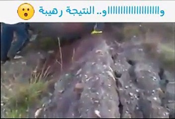 فيديو تجربة دحرجة العجل من فوق المنحدر..والنتيجة غير متوقعة