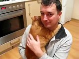 قطة تحتضن صاحبها بطريقة تشبه البشر تماماً