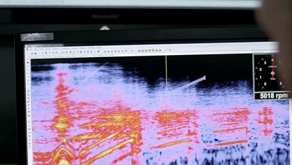 فيديو بورش تسمعنا أجمل 5 أصوات لسياراتها على الإطلاق! رقم 1 خيالي