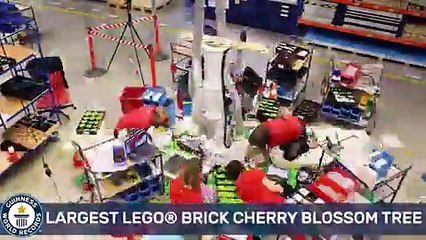 فيديو: اليابان تصنع أكبر شجرة في العالم!