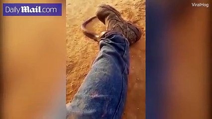 فيديو: ثعبان قاتل يتسلل إلى بنطال صياد.. شاهد ماذا فعل