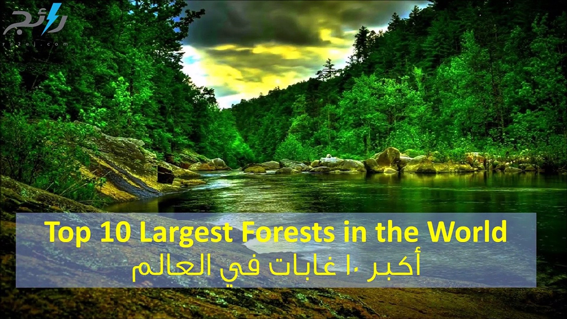 فيديو أكبر 10 غابات في العالم فيديو Dailymotion