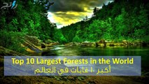 فيديو أكبر 10 غابات في العالم