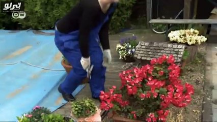 فيديو تعرف على مرسيدس فيتو