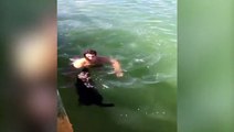 رجل إطفاء يتدخل لإنقاذ كلب من الغرق.. شاهد ماذا فعل!