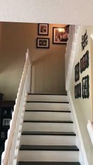 فيديو عريس يقع على الدرج وهو ممسك بيد خطيبته يثير موجة ضحك