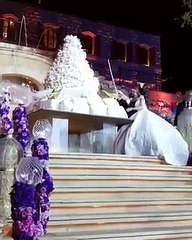 فيديو عروسان يقطعان أكبر كيكة زفاف يمكن أن تراها