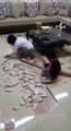 فيديو صادم لـ طفلين يكسران سيراميك الأرض في المنزل
